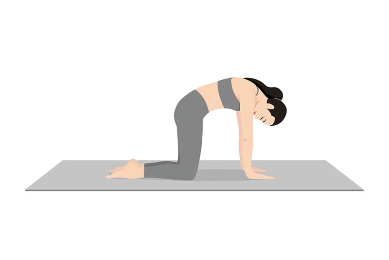 Yoga trước khi ngủ tư thế con mèo