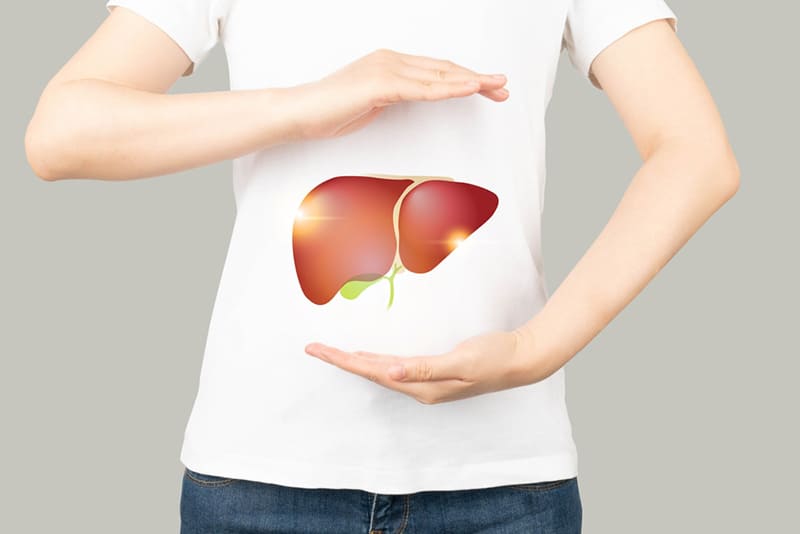 Hoa tam thất giúp bảo vệ và giải độc gan
