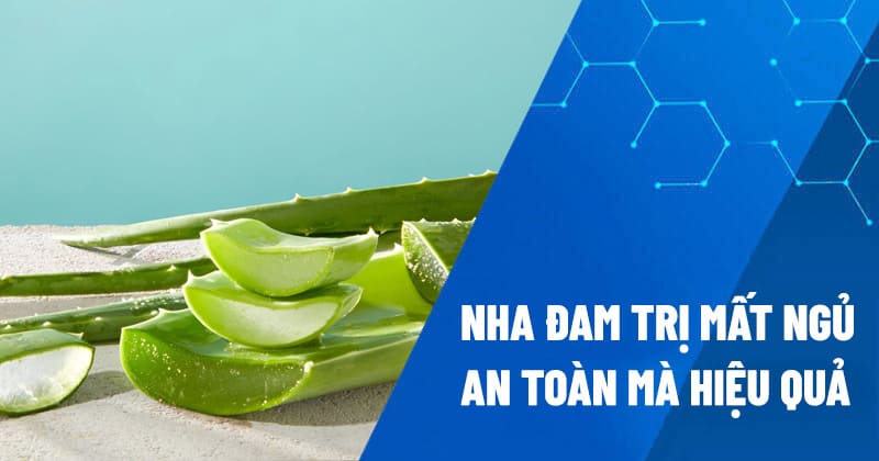 Nha đam trị yếu sinh lý