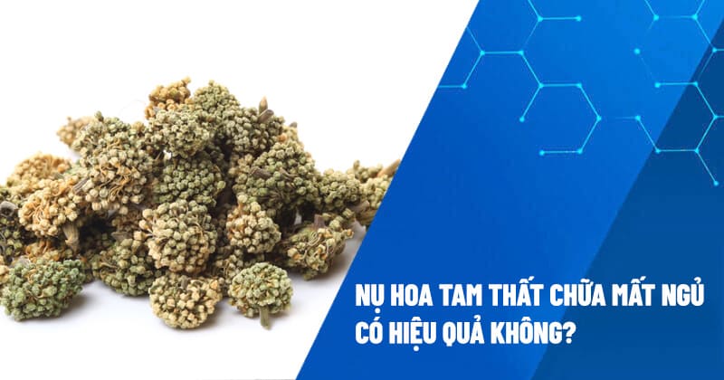 Nụ hoa tam thất chữa mất ngủ