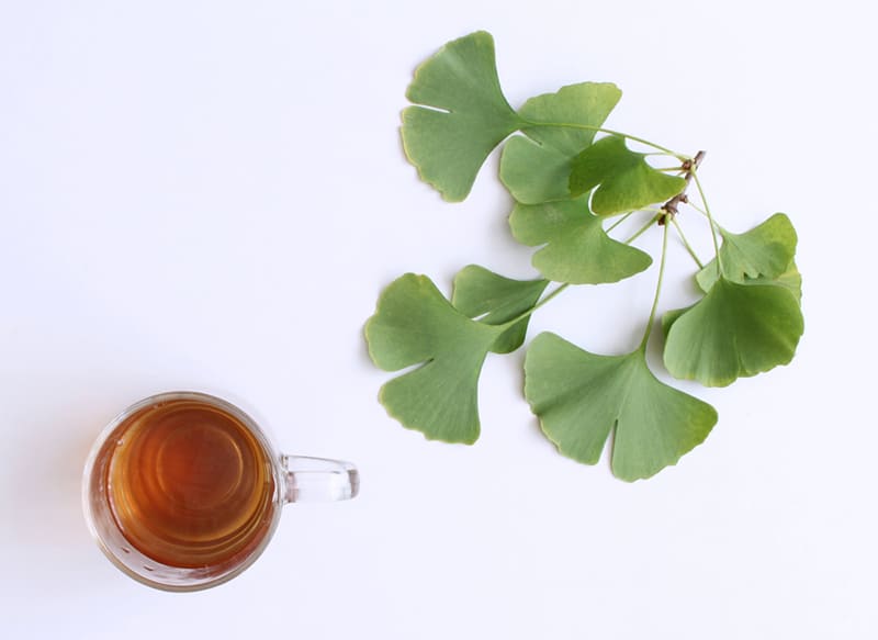 Trà bạch quả ginkgo biloba tăng cường sinh lý nam