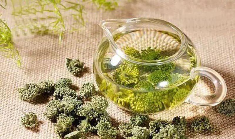 Uống trà hoa tam thất chữa mất ngủ