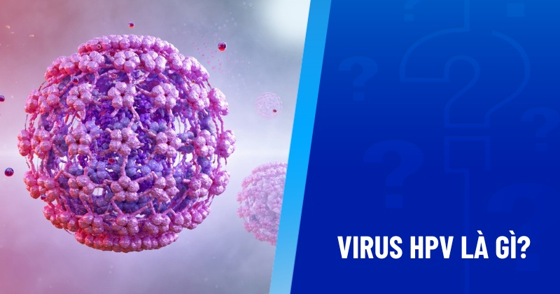 Virus HPV là gì