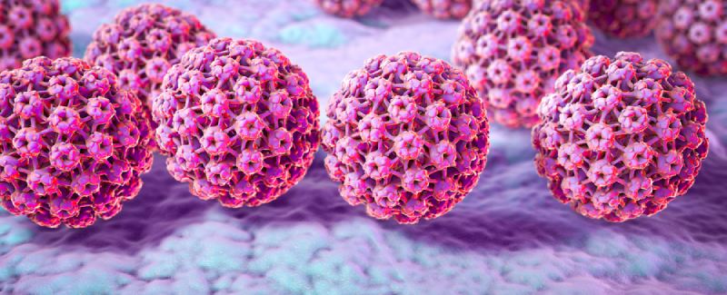 Virus HPV là nguyên nhân gây ra mụn cóc
