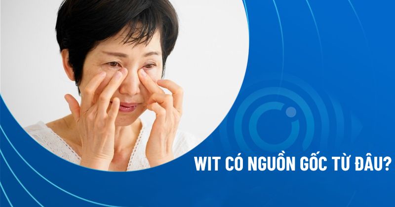 Wit có nguồn gốc từ đâu? Liệu có uy tín để sử dụng?