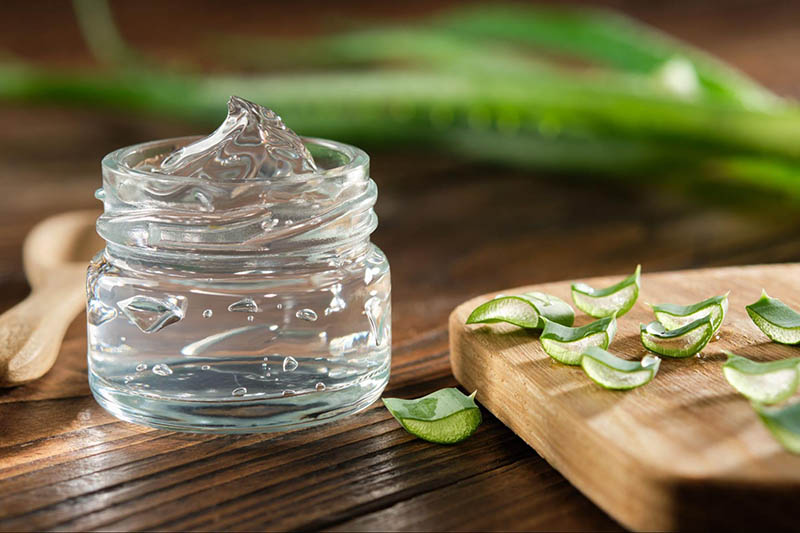 Chất lỏng đặc bên trong lá nha đam có thể bôi trực tiếp lên da.