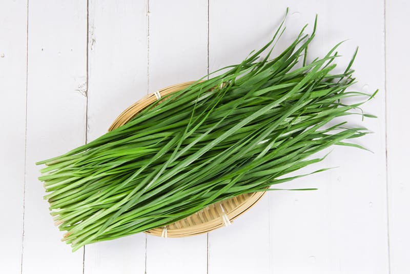 Cây thuốc nam hẹ chữa yếu sinh lý