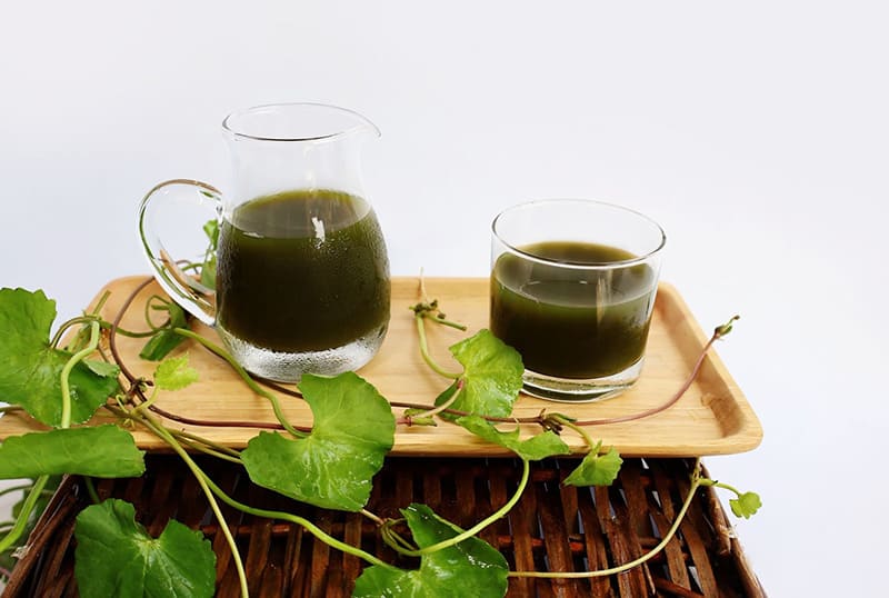 Lạm dụng rau má gây ra các tác dụng phụ