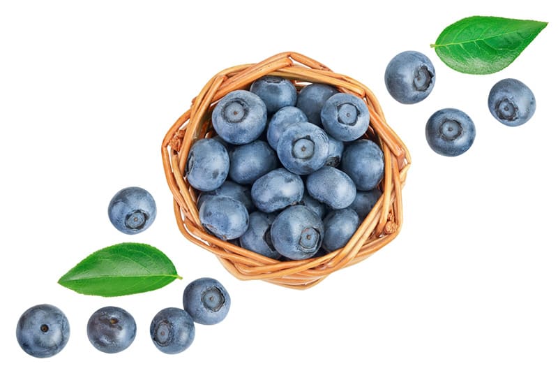 Quả việt quất giàu chất chống oxy hóa giảm căng thẳng
