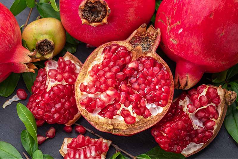 Tinh chất lựu có khả năng chống nắng nội sinh