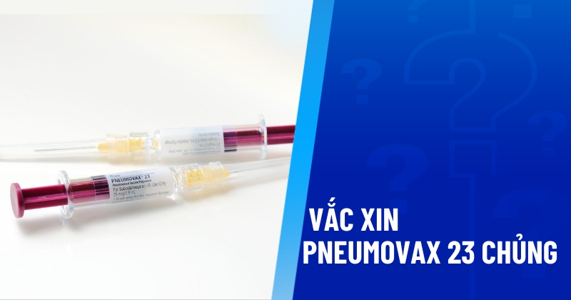 Vắc xin Pneumovax 23 chủng