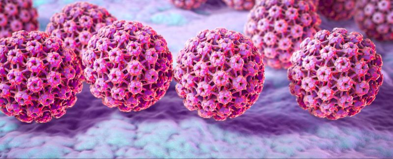 Virus HPV là nguyên nhân gây ra sùi mào gà