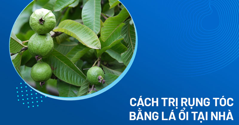 cách trị rụng tóc bằng lá ổi