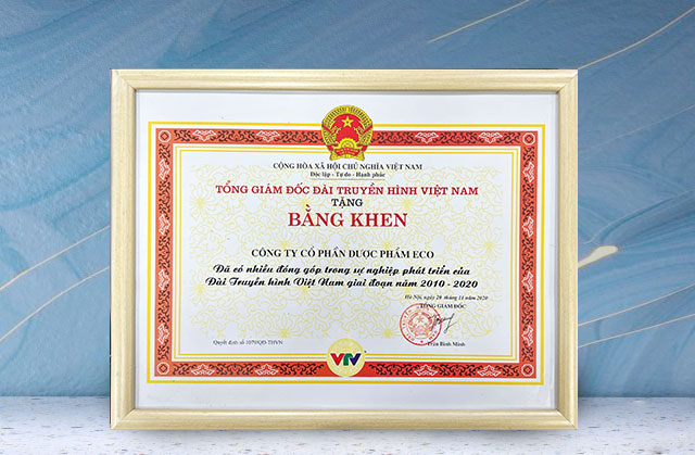 Đơn vị có nhiều đóng góp cho Đài Truyền hình Việt Nam giai đoạn 2010 - 2020
