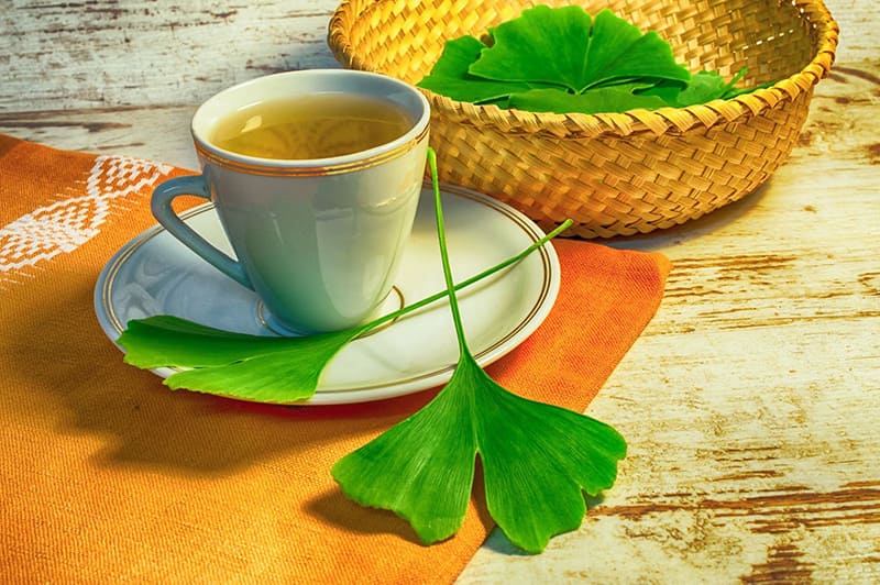 Ginkgo biloba cải thiện mất ngủ