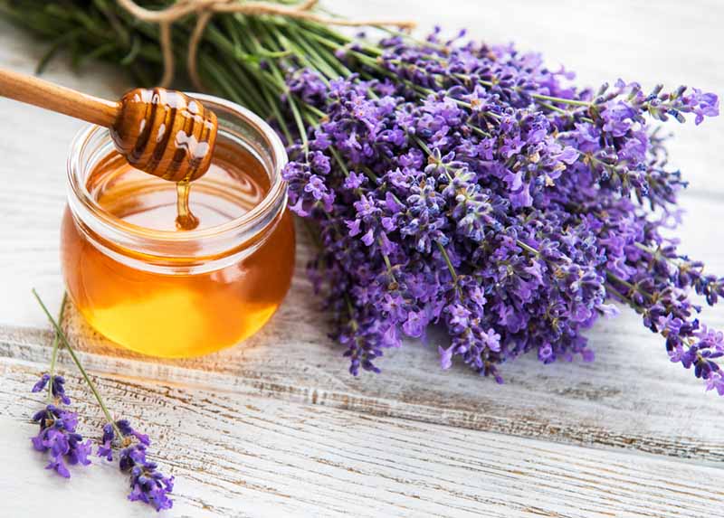 Công thức mật ong cùng tinh dầu oải hương cải thiện thâm nám