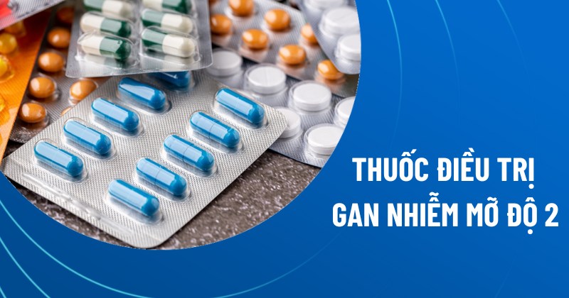 thuốc điều trị gan nhiễm mỡ độ 2
