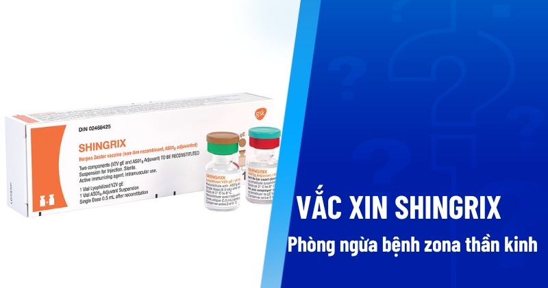 Vắc xin Shingrix có tác dụng gì? Giá bao nhiêu? Đối tượng chỉ định?
