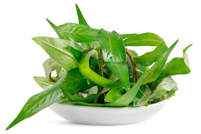Cần rửa sạch rau răm trước khi sử dụng