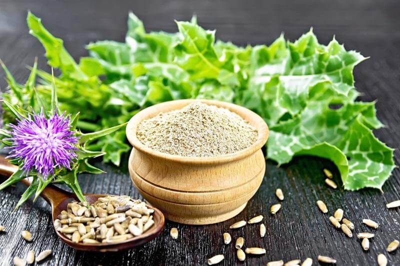 cây thuốc nam trị viêm gan b