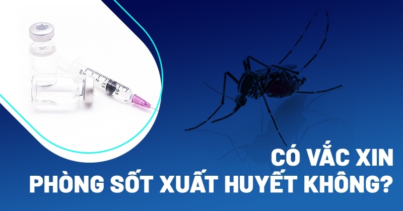 Có vắc xin phòng sốt xuất huyết không? Đối tượng nào được tiêm?