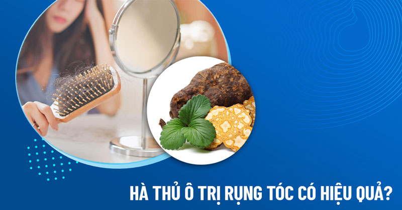 hà thủ ô trị rụng tóc