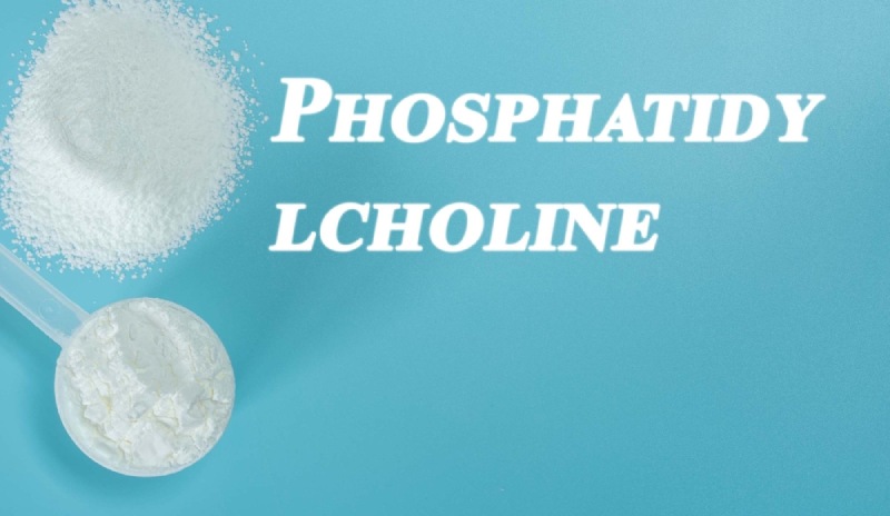 thuốc trị gan nhiễm mỡ độ 3