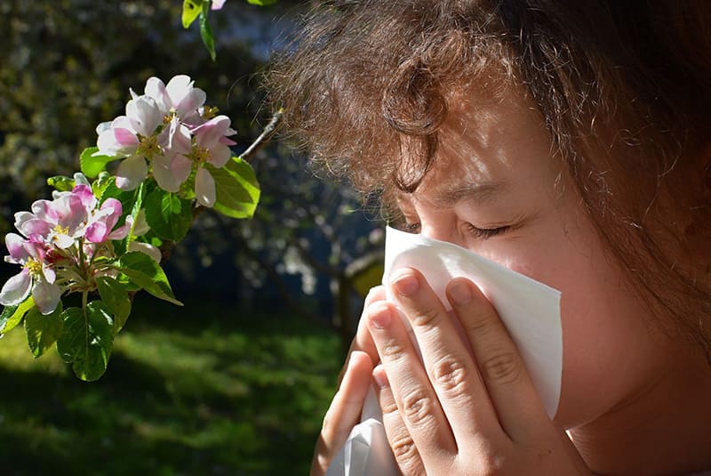 Uống trà lipton có thể ngăn ngừa dị ứng