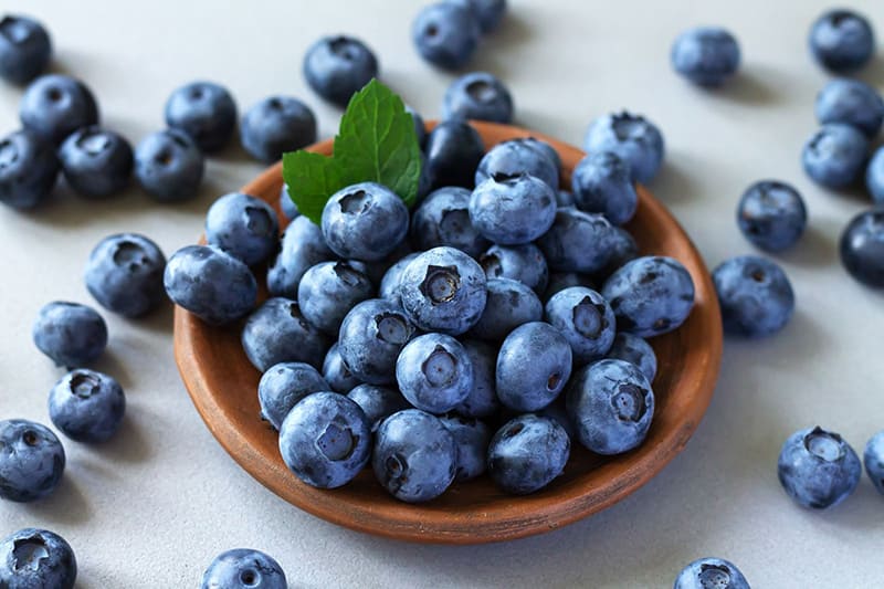 Blueberry bảo vệ tế bào thần kinh cải thiện giấc ngủ