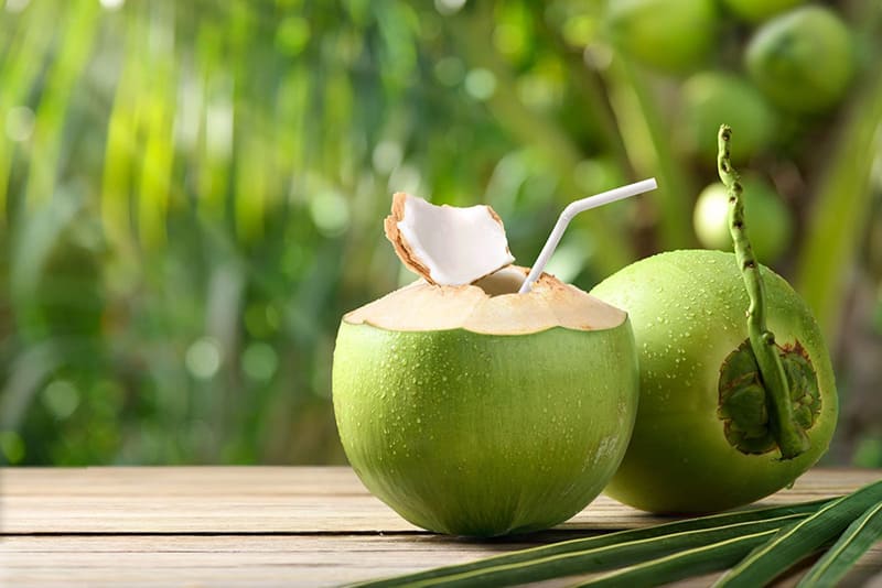 Nước dừa tươi chứa nhiều khoáng chất giúp thư giãn dễ ngủ