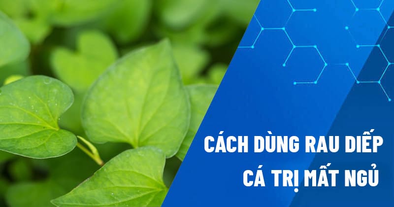 Cách dùng rau diếp cá trị mất ngủ