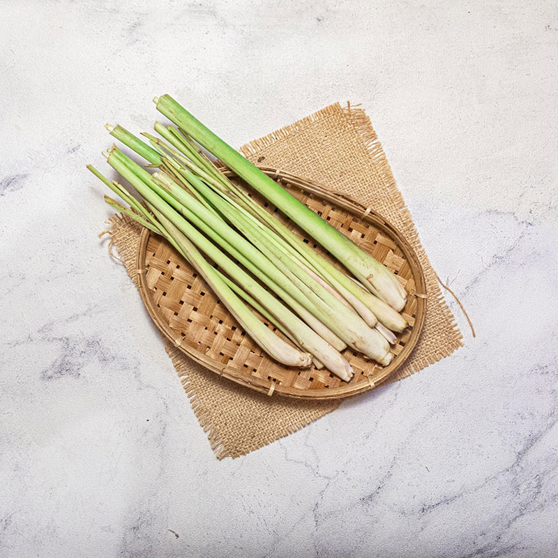 chọn sả tươi để gội đầu