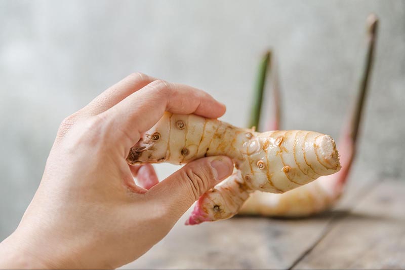 Củ riềng được cho rằng có thể cải thiện nám da.