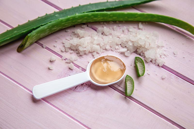 gội đầu bằng muối và nha đam