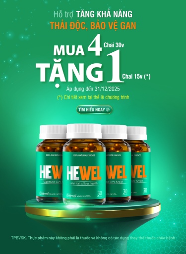 hewel ctkm 2025 mb