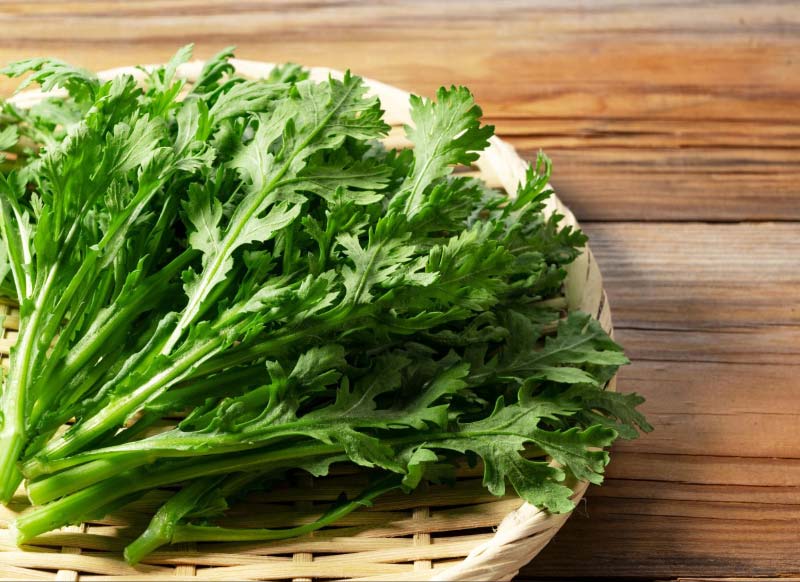 Người đau xương khớp nên ăn cải cúc