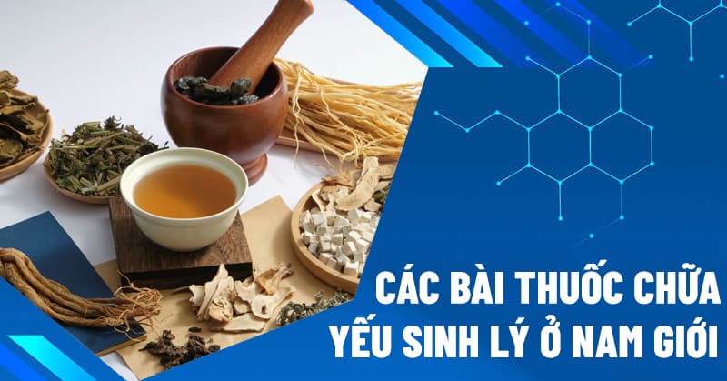 Các bài thuốc chữa yếu sinh lý ở nam giới
