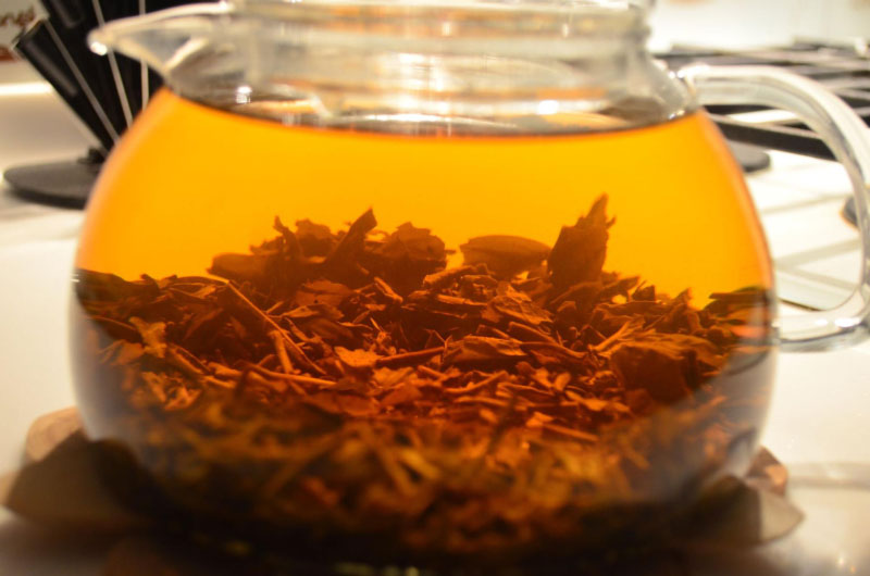 Sắc nước từ cây mật gấu tốt cho người đau xương khớp