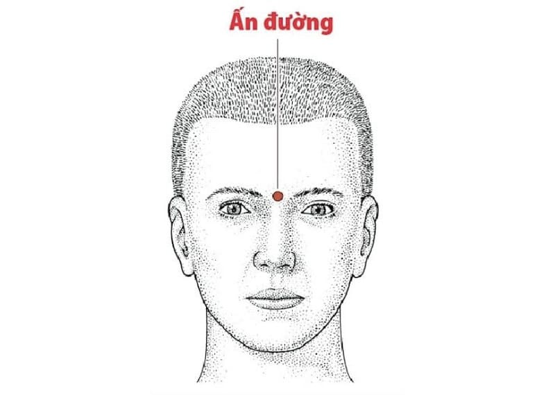 Vị trí huyệt ấn đường