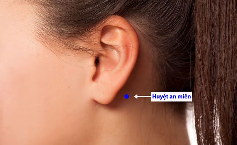 Vị trí huyệt an miên