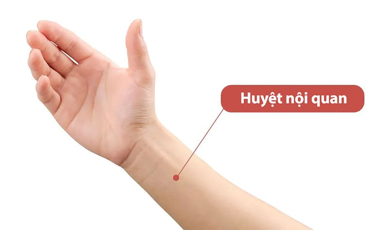Vị trí huyệt nội quan