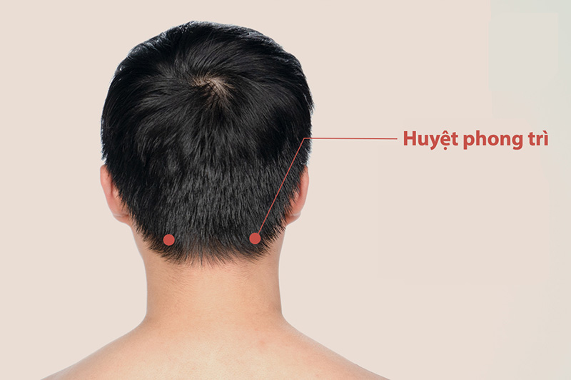 Vị trí huyệt phong trì