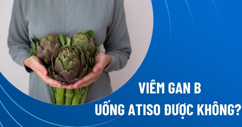 viêm gan b uống atiso được không