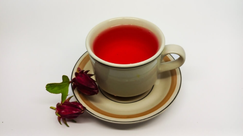 viêm gan b nên uống lá gì