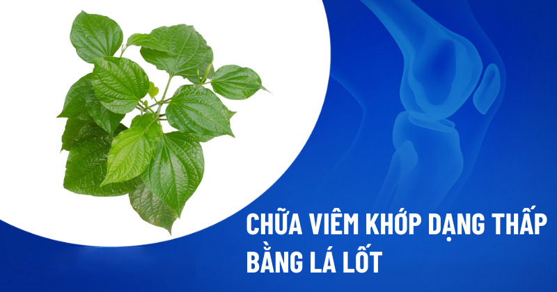 Chữa viêm khớp dạng thấp bằng lá lốt
