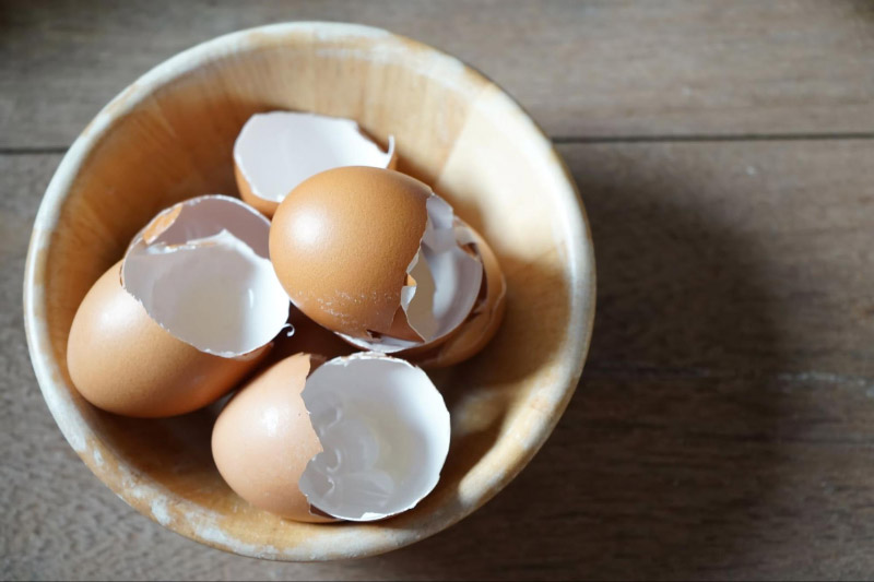 Eggshell Membrane cải thiện tình trạng viêm