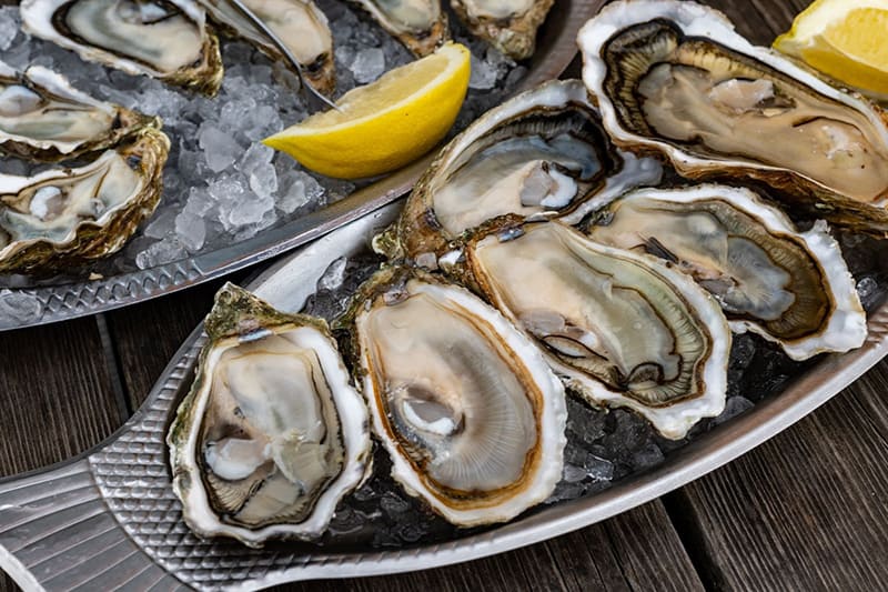 hàu đại dương giúp tăng testosterone