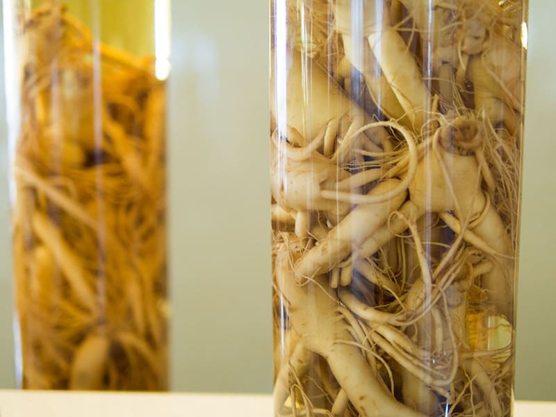 hồng sâm tăng cường sinh lực