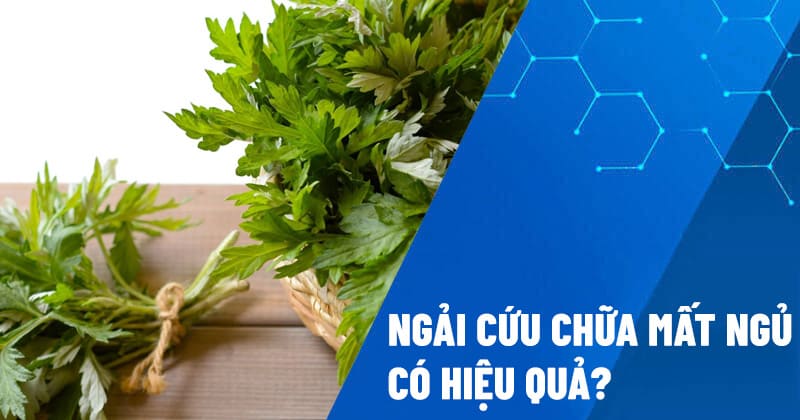 ngải cứu chữa mất ngủ