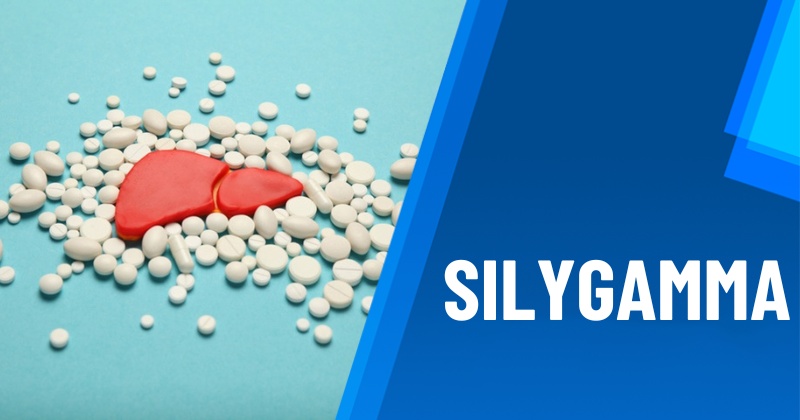 Thuốc Silygamma trị bệnh gì? Tác dụng, liều dùng và giá bán